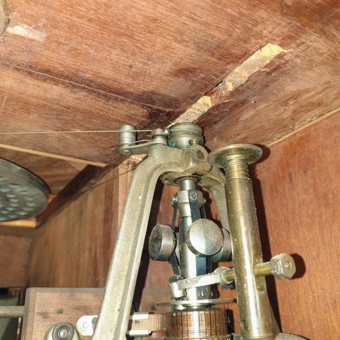 20210521_190721.jpg