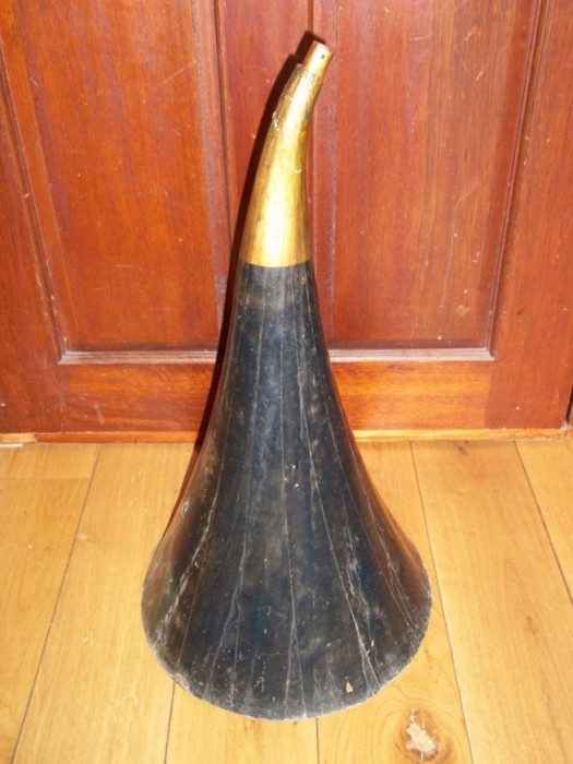phono Mega Horn.jpg