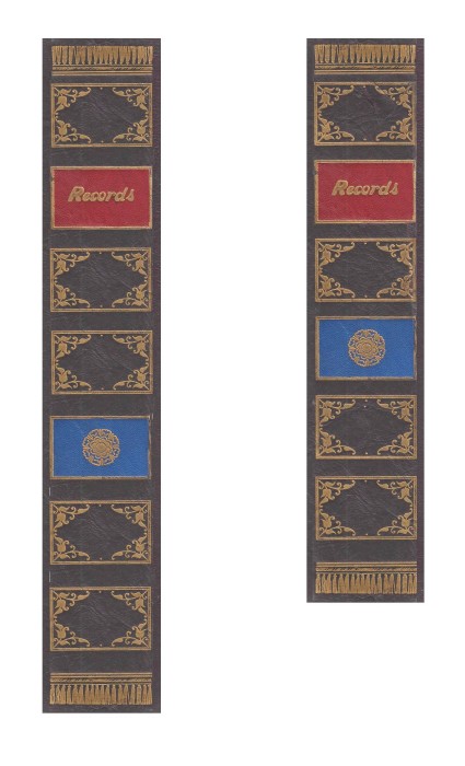 Peerless Sparton Album Spines.jpg