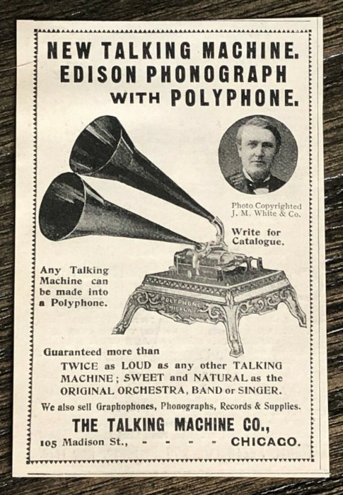 poly 2.jpg