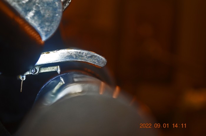 DSC_3051 smaller enhanced.jpg