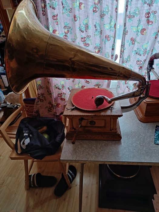 IMG20230206111410.jpg