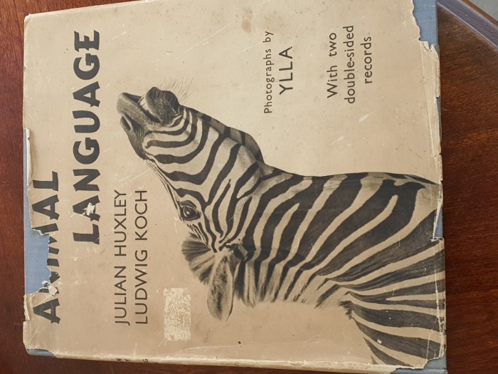 20230701_140405.jpg