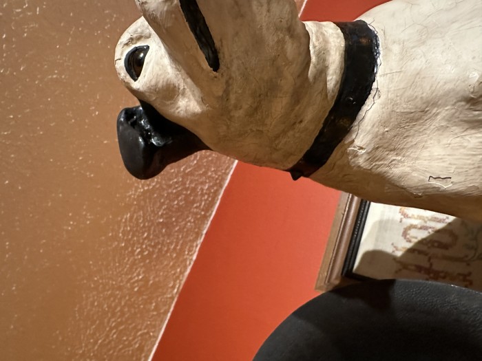 IMG_2563.jpeg