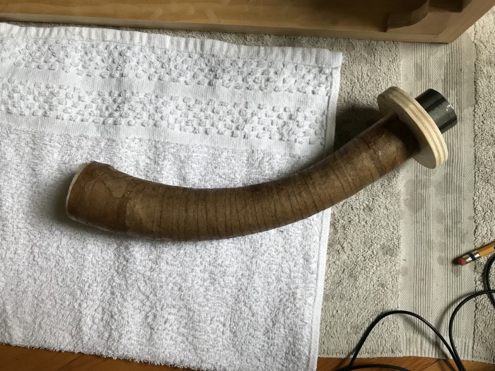 Horn--3--One layer of thin paper.jpeg