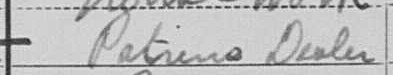 DealerUmbrellasPhonographs1900Census.jpg