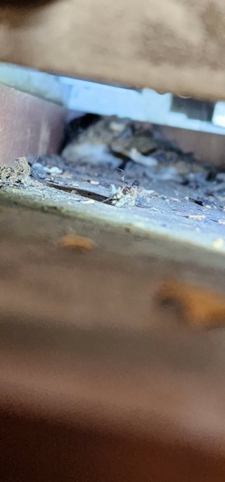 20230716_200811.jpg.f3abcc21a93397aaa0214ddbb0f42367.jpg