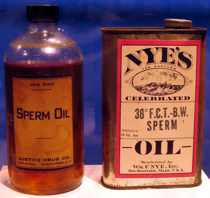 sperm-oil.jpg