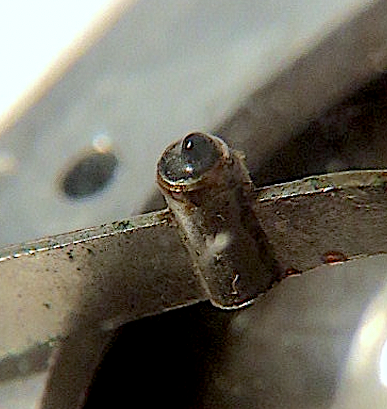 Screen Shot 2023-11-11 at 7.40.37 PM.png