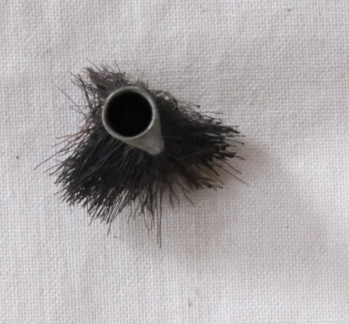 Edison Triumph Brush (1).JPG