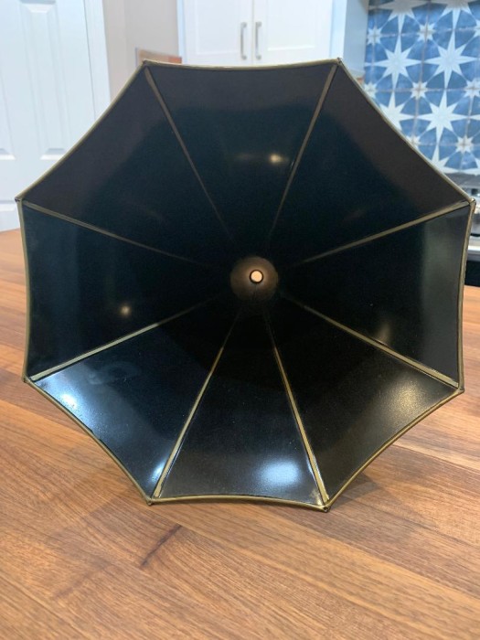 Repo Gem Horn_3.jpeg