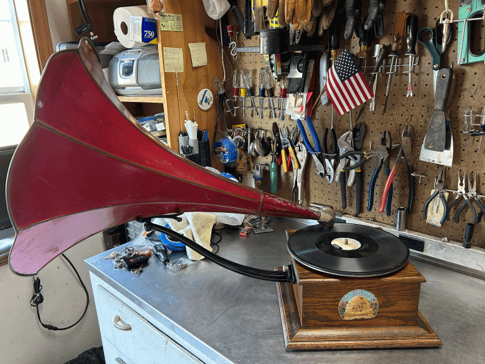 Busy Bee disc - $350 with records
