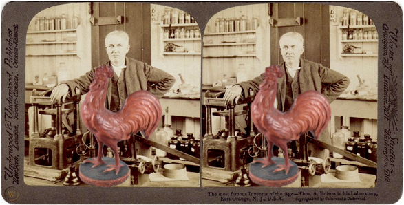 Tom's Rooster.png