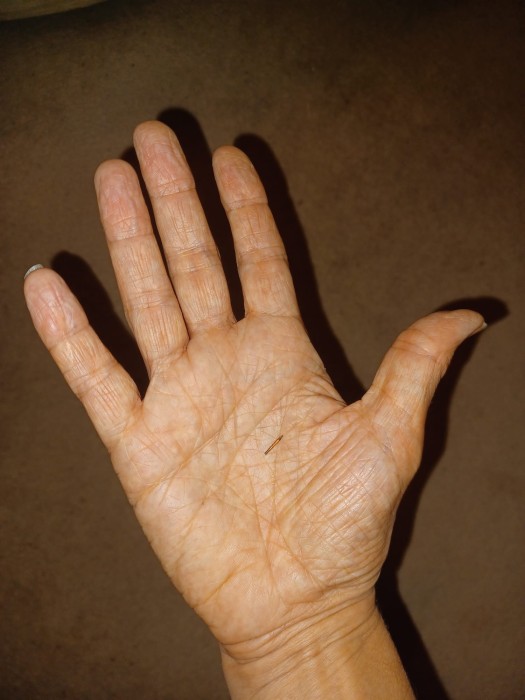 Hand.jpg
