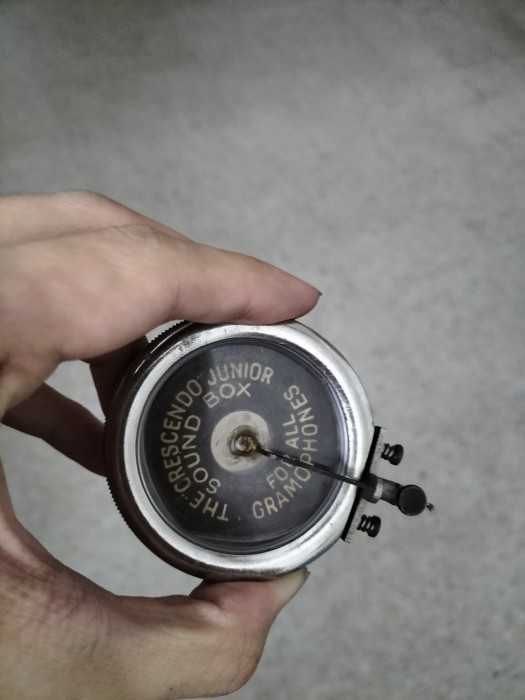 IMG20250222151554.jpg