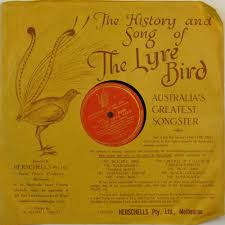 lyre bird.jpg