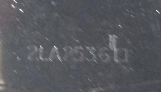 fled2.jpeg