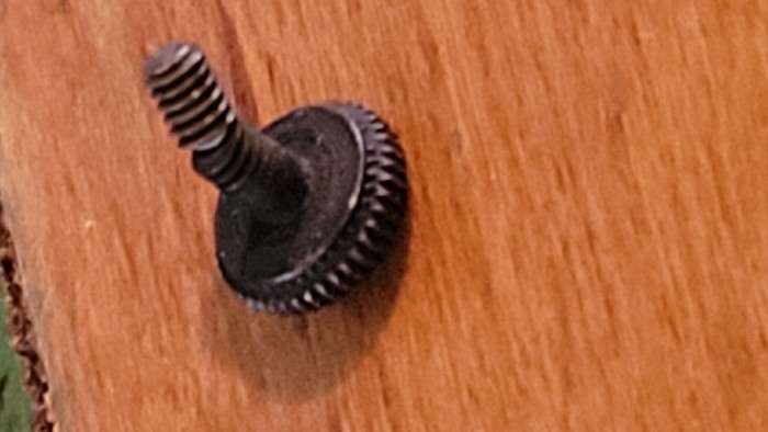 20250713_134658.jpg