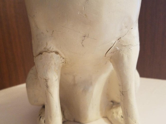 nip6.jpg