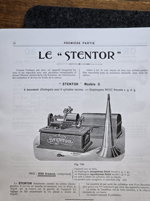 Stentor_01.jpg