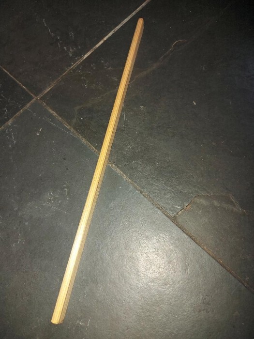 pic2.jpg